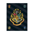 Bellissimo plaid in pile a tema Harry Potter con il logo di Hogwarts su sfondo nero.