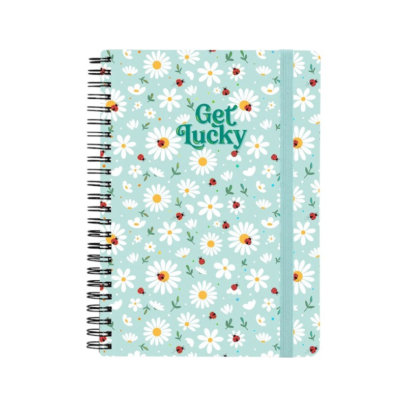 Quaderni A4 spiralati Legami con copertine kawaii e fantasie colorate: perfetti per scuola, università e appunti. Scopri tutte le varianti su Viano Shop!