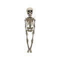 Scheletro decorativo di Halloween effetto osso: decorazione horror da appendere o posizionare per feste e case infestate. Scoprilo su Viano Shop!
