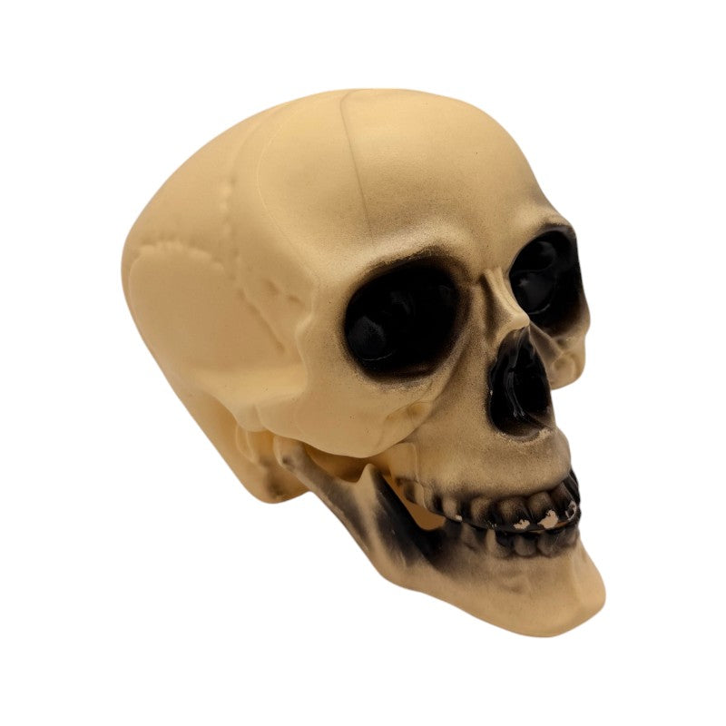 Teschio decorativo di Halloween effetto osso anticato: decorazione horror per mensole, centrotavola e case infestate. Scoprilo su Viano Shop!