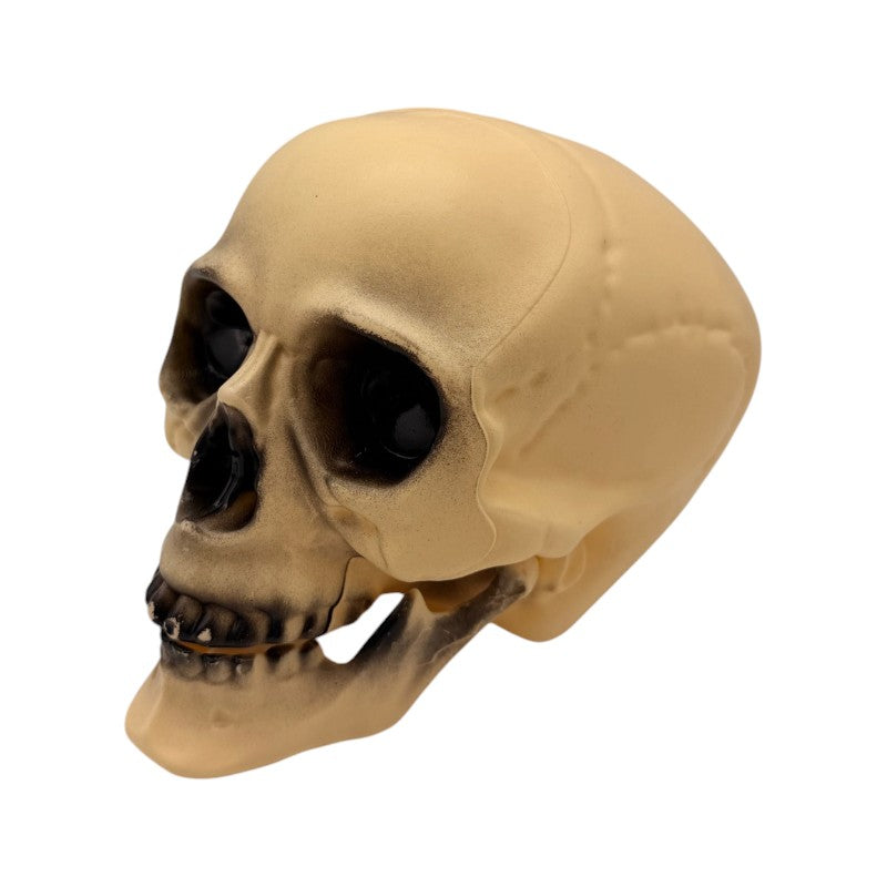 Teschio decorativo di Halloween effetto osso anticato: decorazione horror per mensole, centrotavola e case infestate. Scoprilo su Viano Shop!