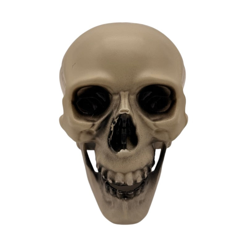 Teschio decorativo di Halloween effetto osso anticato: decorazione horror per mensole, centrotavola e case infestate. Scoprilo su Viano Shop!