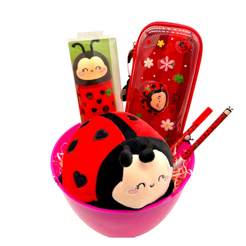 Uovo di pasqua pieno di prodotti legami tutti a tema coccinella