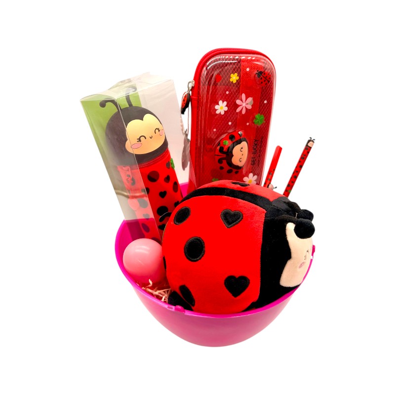 Uovo di pasqua pieno di prodotti legami tutti a tema coccinella